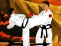Spel Tae Kwon-Do Competition