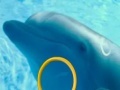 Spel Dolphin Tale 2 Hidden Alphabets