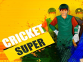 Spel Super Cricket      