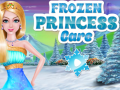 Spel Frozen Princess Care