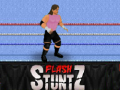 Spel Flash Stuntz