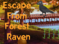 Spel Escape from Forest Raven