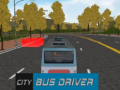 Spel City Bus Driver  