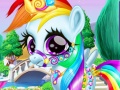 Spel Rainbow Pony Caring