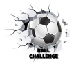 Spel Ball Challenge