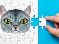 Spel Abyssinian Puzzle Challenge