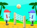 Spel Beach Volleyball