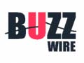 Spel Buzz Wire