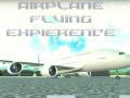 Spel Airplane Flying Expierence