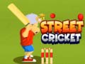 Spel Street Cricket