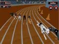Spel Crazyl Dog Racing Fever