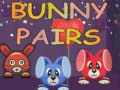 Spel Bunny Pairs