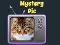Spel Mystery Pic