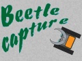 Spel Beetle Capture