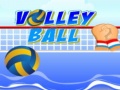 Spel Volley ball