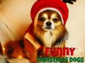 Spel Funny Christmas Dogs