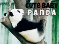 Spel Cute Baby Panda