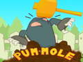 Spel Pum-Mole