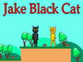 Spel Jake Black Cat