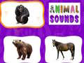 Spel Animal Sounds