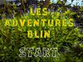 Spel Les Adventures Blin