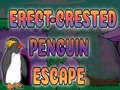Spel Erect Crested Penguin Escape