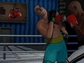 Spel Ultimate Boxing Showdown