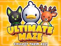 Spel Ultimate Maze! Collect Them All!
