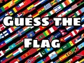 Spel Guess the Flag