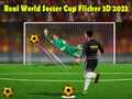 Spel Real World Soccer Cup Flicker 3D 2023