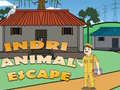 Spel Indri Animal Escape