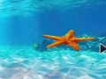 Spel Escape From Underwater Starfish