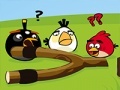 Spel Angry Birds Go Crazy