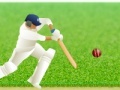 Spel Cricket Defend the Wicket!