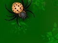 Spel Spiders attack 