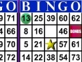 Spel Bingo 