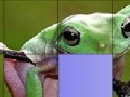 Spel Frog Slide Puzzle