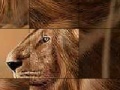 Spel Big brave lion slide puzzle