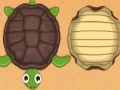 Spel Guess the turtle
