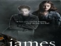 Spel Twilight-James Jigsaw