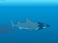 Spel Medieval Shark