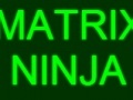 Spel Matrix Ninja