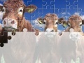 Spel Gorgeous Cows Jigsaw