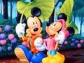 Spel Mickey Love-HS