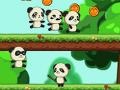 Spel Panda Shock Troop 