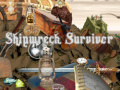 Spel Shipwreck Survivor