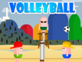 Spel VolleyBoll