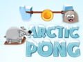 Spel Arctic Pong