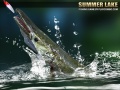 Spel Summer Lake 1.5