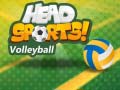 Spel Head Sports Volleyball
